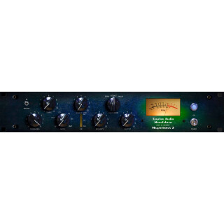 Tegeler Magnetismus 2