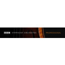 BBC Symphony Orchestra Professional