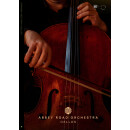 Abbey Road Orchestra: Cellos Professional