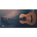 Soft Nylon Guitar