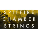 Spitfire Chamber Strings