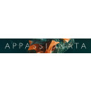Spitfire Appassionata Strings