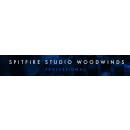 Spitfire Studio Woodwinds Professional