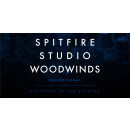 Spitfire Studio Woodwinds Professional
