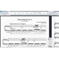 Sibelius Artist 1Y Software Updates + Support