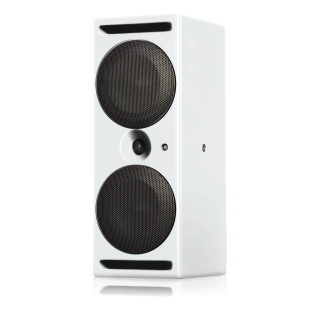 PSI Audio A214-Ms White (EU-Modell)