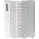 PSI Audio AVAA C20 White (EU-Modell)