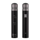 Slate Digital ML-2A Stereopaar