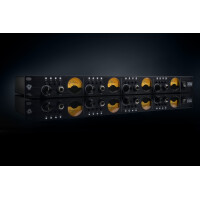 Black Lion Audio Auteur Quad 2