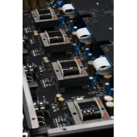 Black Lion Audio Auteur Quad 2