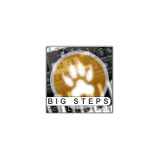 Xhun Big Steps expansion