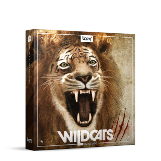 Boom Wildcats