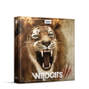 Boom Wildcats