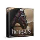 Boom Horses