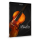 Sonuscore Lyrical Violin Phrases