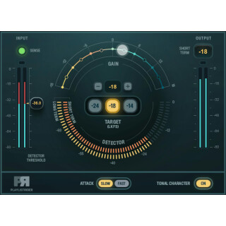 Waves Playlist Rider