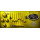 Waves JJP Guitars