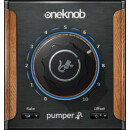 Waves OneKnob Pumper