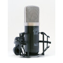 Roswell Pro Audio Mini K47 Matched Pair