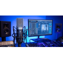 Slate Digital ML-1A Modeling Microphone