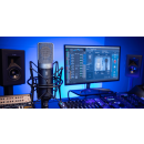 Slate Digital ML-1A Modeling Microphone
