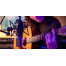 Slate Digital ML-1A Modeling Mikrofon