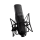 Slate Digital ML-1A Modeling Microphone