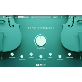 Capsule Arco Ensemble
