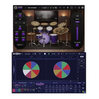 Modalics Groove Mastery Bundle