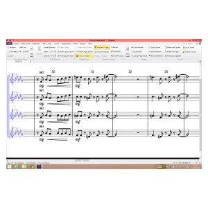 Sibelius Artist Perpetual with 1Y UPD & Sup NEW