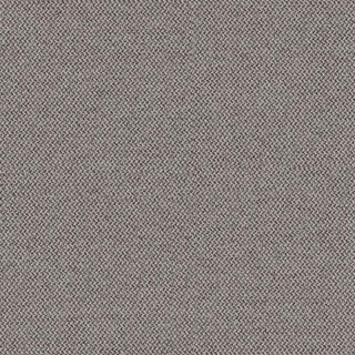 Generation - CSE02
