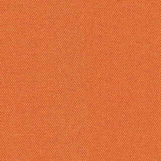 Span - CSE05