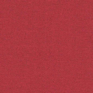 Cycle - CSE06