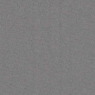 Forecast - CSE11