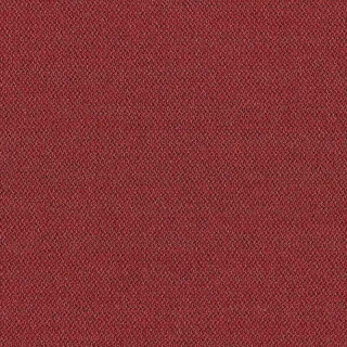 Extent - CSE28