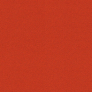 YB087 Lobster
