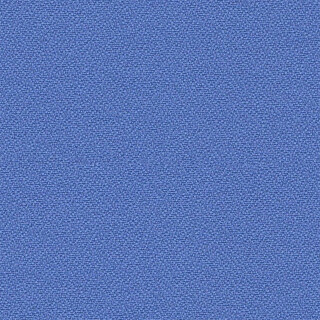 YB097 Bluebell